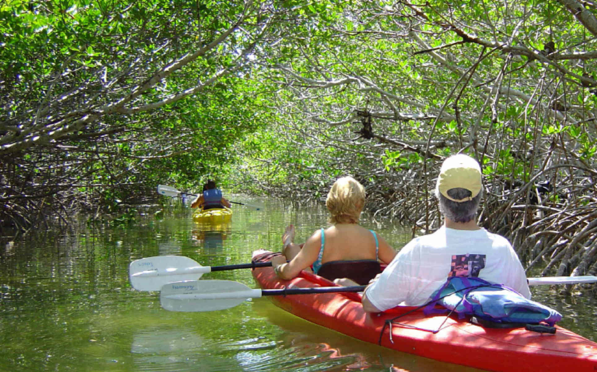 Best Key West Water Activities :: Old Town Manor Travel Blog